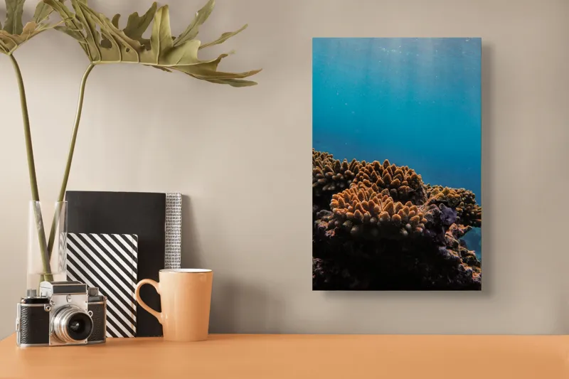 Tablou Canvas, "Corali în lumina strălucitoare a oceanului", Corali, Apă, Lumină, Albastru, Natură, Ecosistem, Ocean, Scufundare, Razele Soarelui, Viață Marină, 26 x 39 cm – poza 3