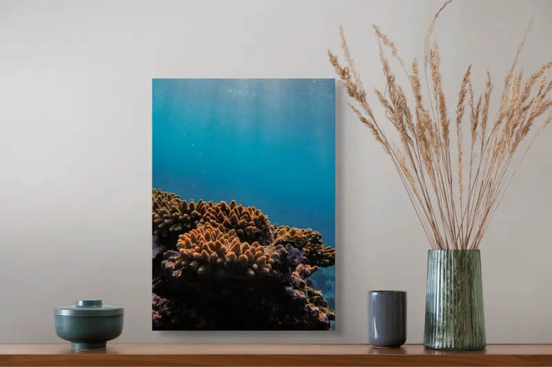 Tablou Canvas, "Corali în lumina strălucitoare a oceanului", Corali, Apă, Lumină, Albastru, Natură, Ecosistem, Ocean, Scufundare, Razele Soarelui, Viață Marină, 39 x 54 cm – poza 3