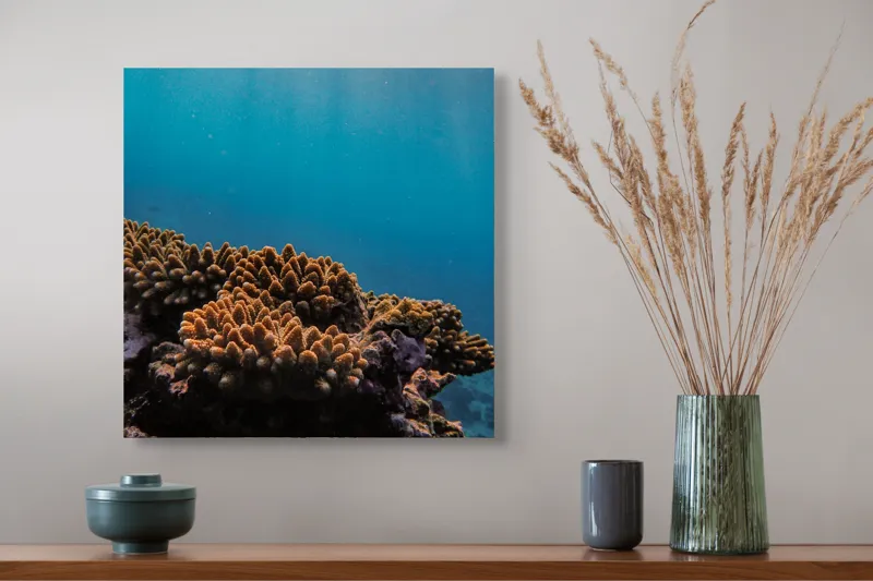 Tablou Canvas, "Corali în lumina strălucitoare a oceanului", Corali, Apă, Lumină, Albastru, Natură, Ecosistem, Ocean, Scufundare, Razele Soarelui, Viață Marină, 50 x 50 cm – poza 4
