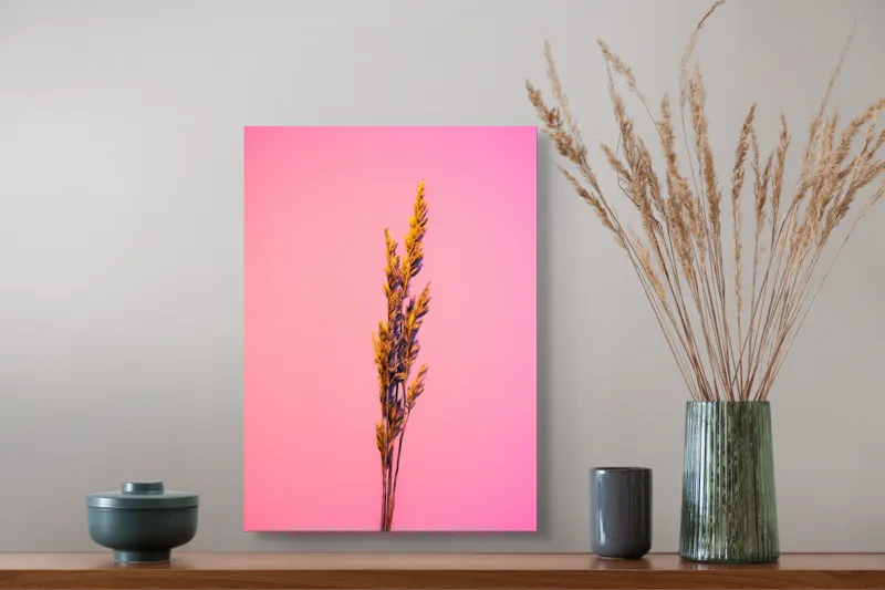 Tablou Canvas, "Spic de grâu pe fundal roz", Plante, Simplu, Culori, Contrast, Vibrant, Natură, Roz, Minimalism, 39 x 54 cm – poza 3