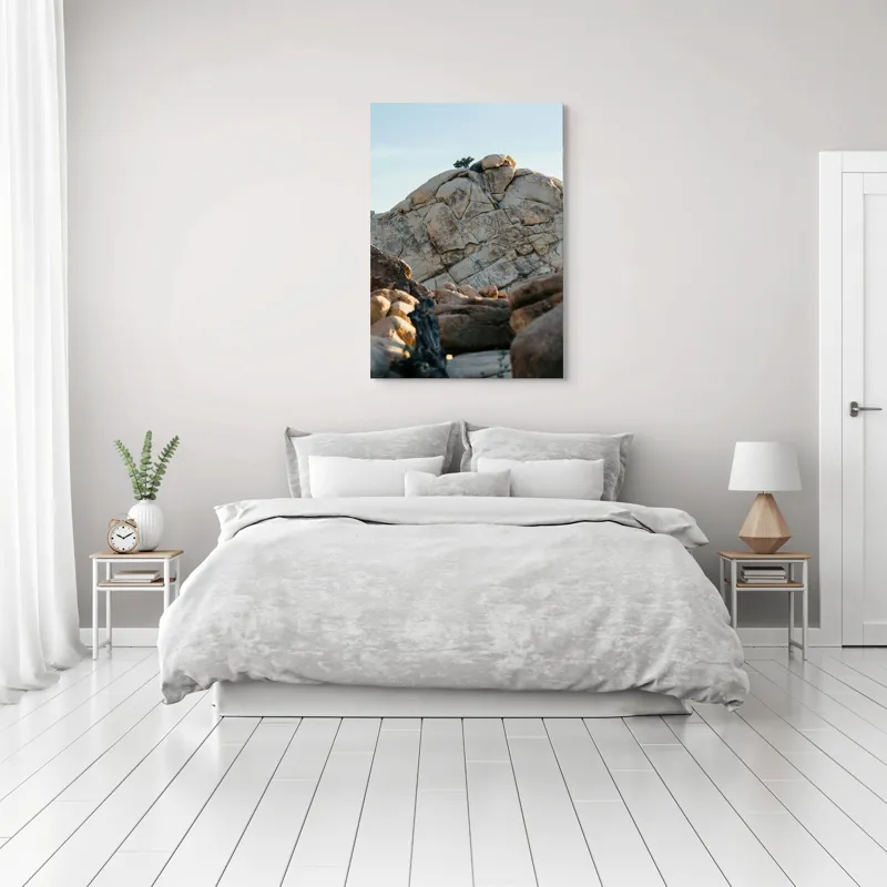 Tablou Canvas, "Copac solitar pe stâncă uriașă", Pietre, Stânci, Arbori, Cer, Texturi, 70 x 100 cm – poza 3