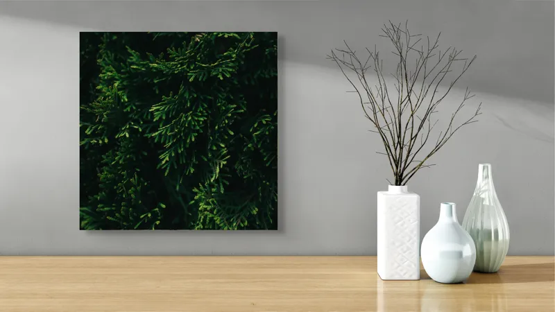 Tablou Canvas, "Frunziș verde în lumina dimineții", Verde, Frunziș, Densitate, Natural, Textură, Întunecat, Vegetație, 50 x 50 cm – poza 3