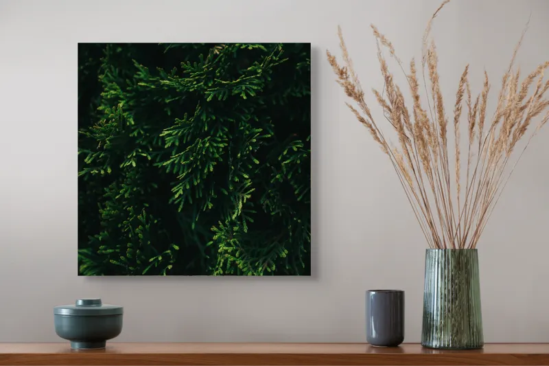 Tablou Canvas, "Frunziș verde în lumina dimineții", Verde, Frunziș, Densitate, Natural, Textură, Întunecat, Vegetație, 50 x 50 cm – poza 4