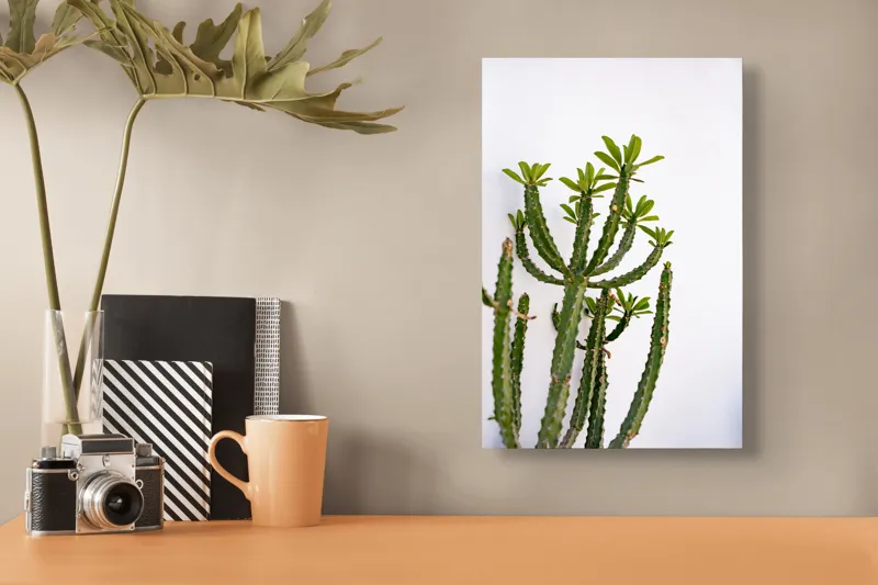 Tablou Canvas, "Cactus în lumina dimineții", Cactus, Verde, Frunze, Perete, Natural, Simplu, Contrast, Minimalist, Peisaj., 26 x 39 cm – poza 3