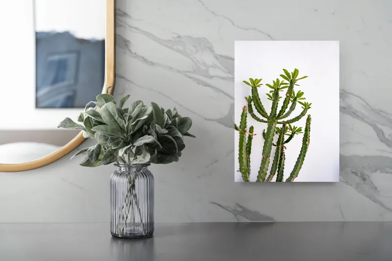 Tablou Canvas, "Cactus în lumina dimineții", Cactus, Verde, Frunze, Perete, Natural, Simplu, Contrast, Minimalist, Peisaj., 26 x 39 cm – poza 4