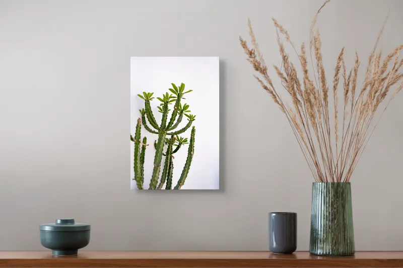 Tablou Canvas, "Cactus în lumina dimineții", Cactus, Verde, Frunze, Perete, Natural, Simplu, Contrast, Minimalist, Peisaj., 26 x 39 cm – poza 5
