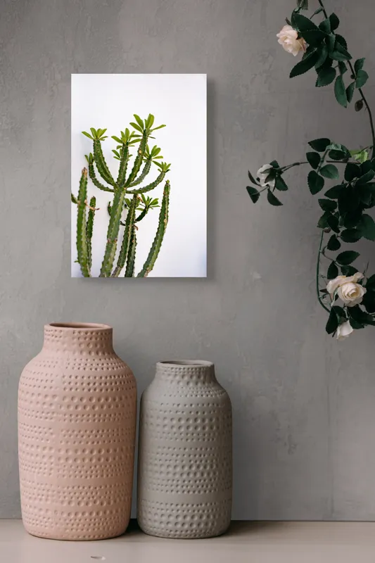 Tablou Canvas, "Cactus în lumina dimineții", Cactus, Verde, Frunze, Perete, Natural, Simplu, Contrast, Minimalist, Peisaj., 26 x 39 cm – poza 6