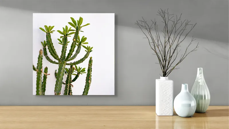 Tablou Canvas, "Cactus în lumina dimineții", Cactus, Verde, Frunze, Perete, Natural, Simplu, Contrast, Minimalist, Peisaj., 50 x 50 cm – poza 3