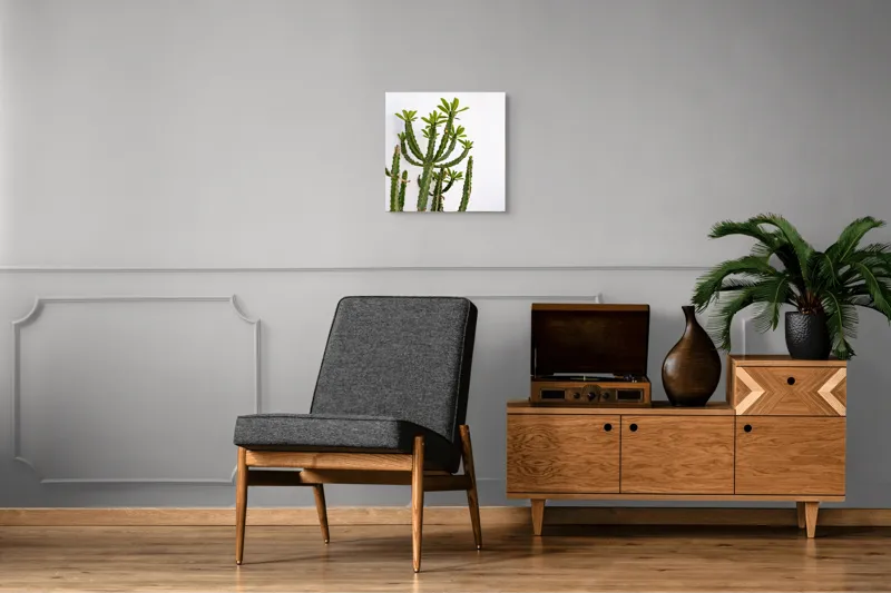 Tablou Canvas, "Cactus în lumina dimineții", Cactus, Verde, Frunze, Perete, Natural, Simplu, Contrast, Minimalist, Peisaj., 50 x 50 cm – poza 6