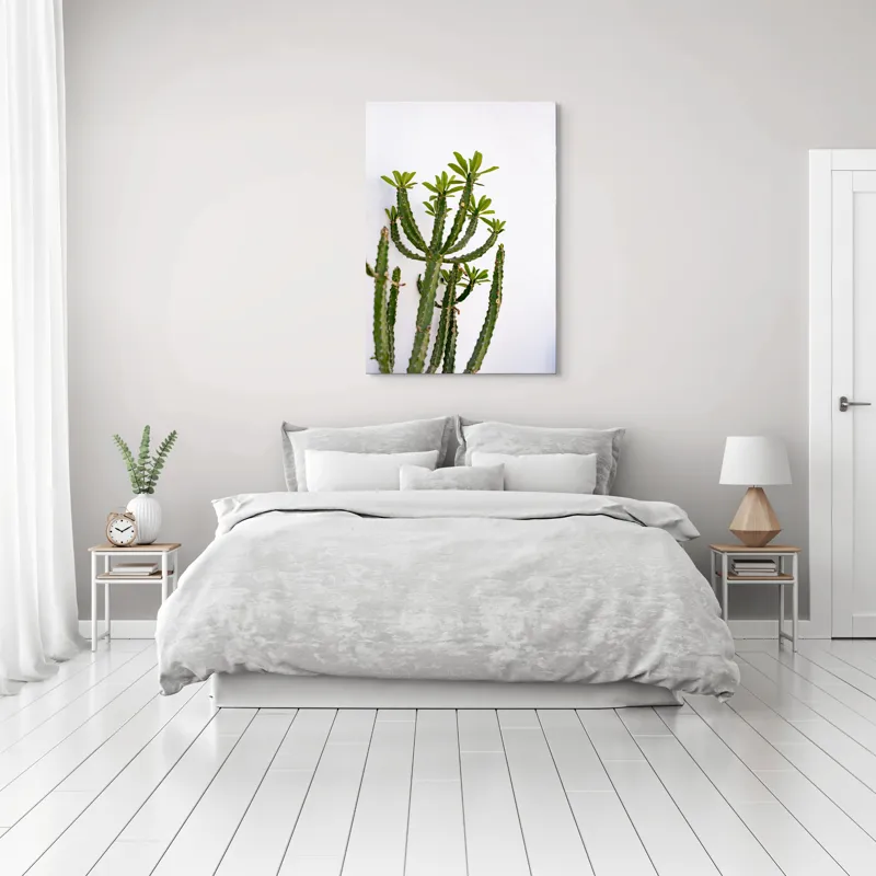 Tablou Canvas, "Cactus în lumina dimineții", Cactus, Verde, Frunze, Perete, Natural, Simplu, Contrast, Minimalist, Peisaj., 70 x 100 cm – poza 3