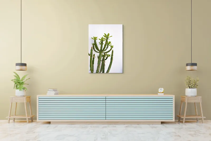 Tablou Canvas, "Cactus în lumina dimineții", Cactus, Verde, Frunze, Perete, Natural, Simplu, Contrast, Minimalist, Peisaj., 70 x 100 cm – poza 5