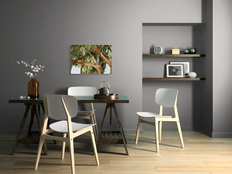 Tablou Canvas, "Copaci cu scoarță luminoasă în soare", Copac, Frunziș, Scoarță, Natură, Cer, Luminiș, Ramuri, Ondulare, Vitalitate, 70 x 50 cm – poza 5