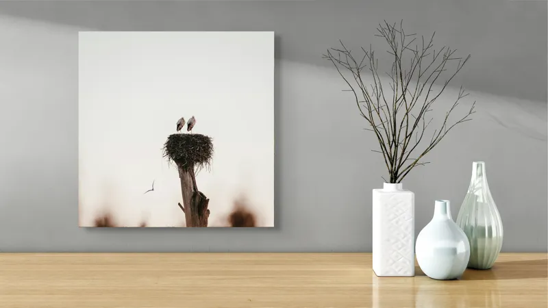 Tablou Canvas, "Întâlnire pe cuibul înalt", Cer, Cuib, Barză, Pasăre, Zbor, Natură, Liniște, Lemn, Apus, Pene, 50 x 50 cm – poza 3