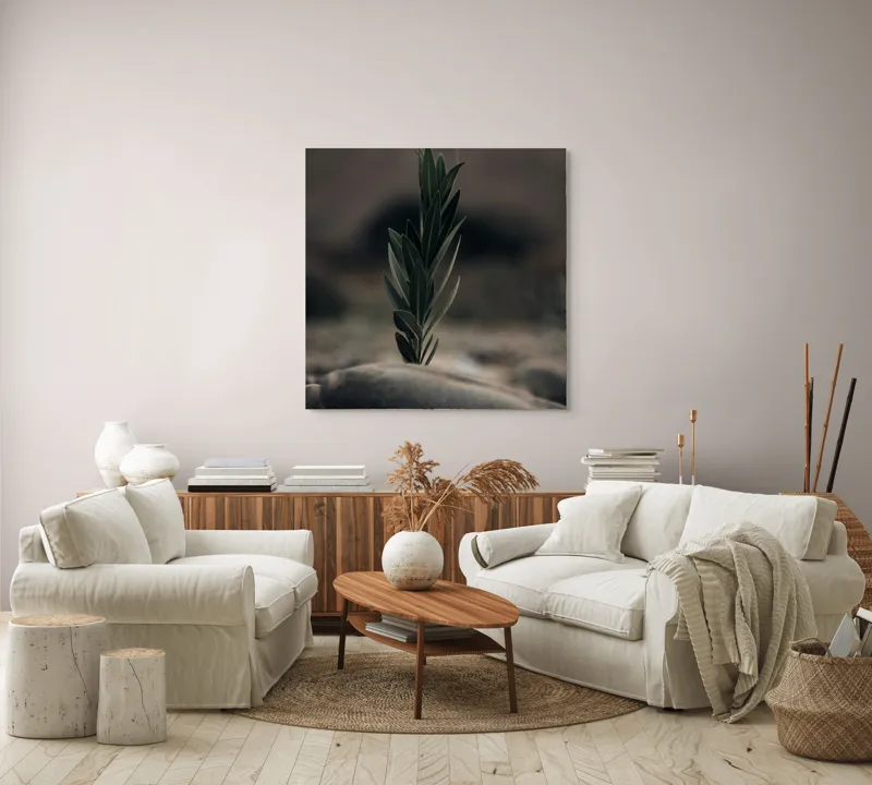 Tablou Canvas, "Tăria vieții într-un loc sterp", Frunza, Piatra, Tandrețe, Natură, Echilibru, Verde, Solitudine, Creștere, 100 x 100 cm – poza 3