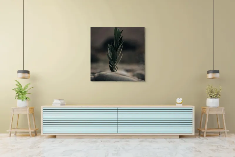 Tablou Canvas, "Tăria vieții într-un loc sterp", Frunza, Piatra, Tandrețe, Natură, Echilibru, Verde, Solitudine, Creștere, 100 x 100 cm – poza 5