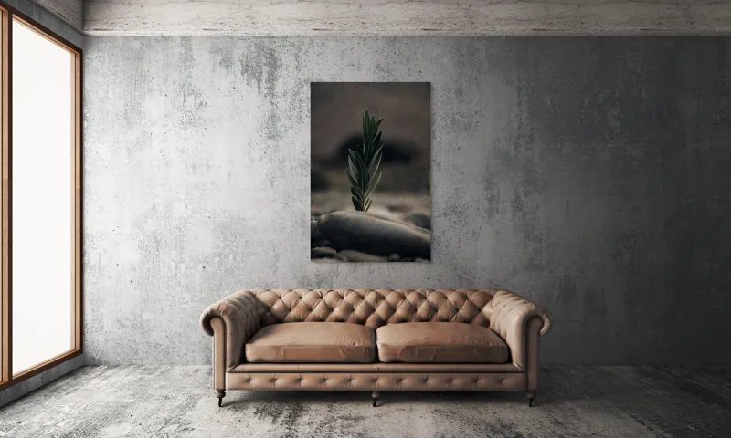 Tablou Canvas, "Tăria vieții într-un loc sterp", Frunza, Piatra, Tandrețe, Natură, Echilibru, Verde, Solitudine, Creștere, 100 x 150 cm – poza 6