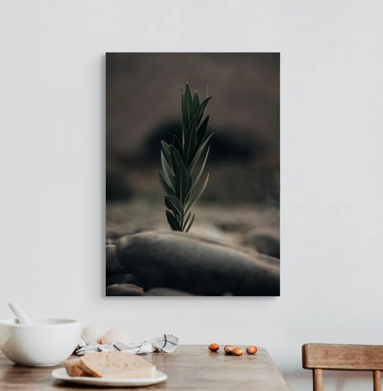 Tablou Canvas, "Tăria vieții într-un loc sterp", Frunza, Piatra, Tandrețe, Natură, Echilibru, Verde, Solitudine, Creștere, 50 x 70 cm – poza 3