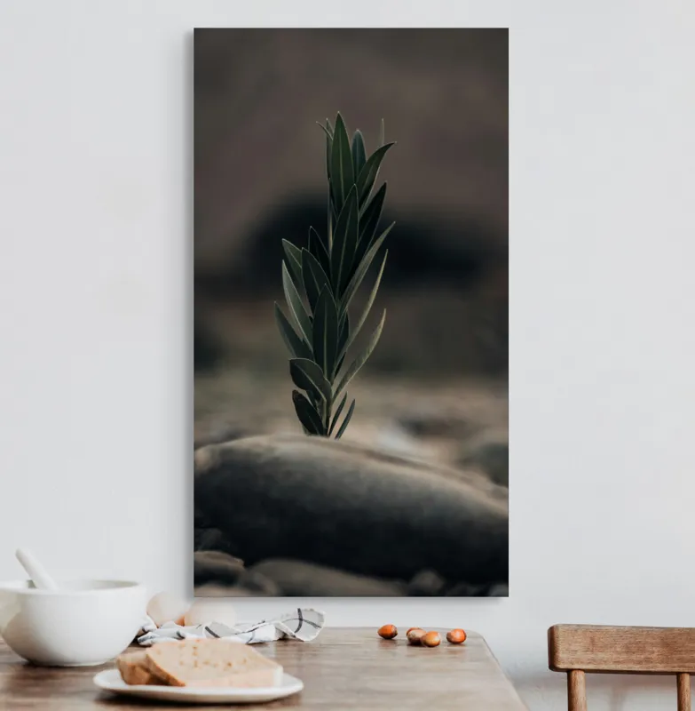 Tablou Canvas, "Tăria vieții într-un loc sterp", Frunza, Piatra, Tandrețe, Natură, Echilibru, Verde, Solitudine, Creștere, 50 x 90 cm – poza 3