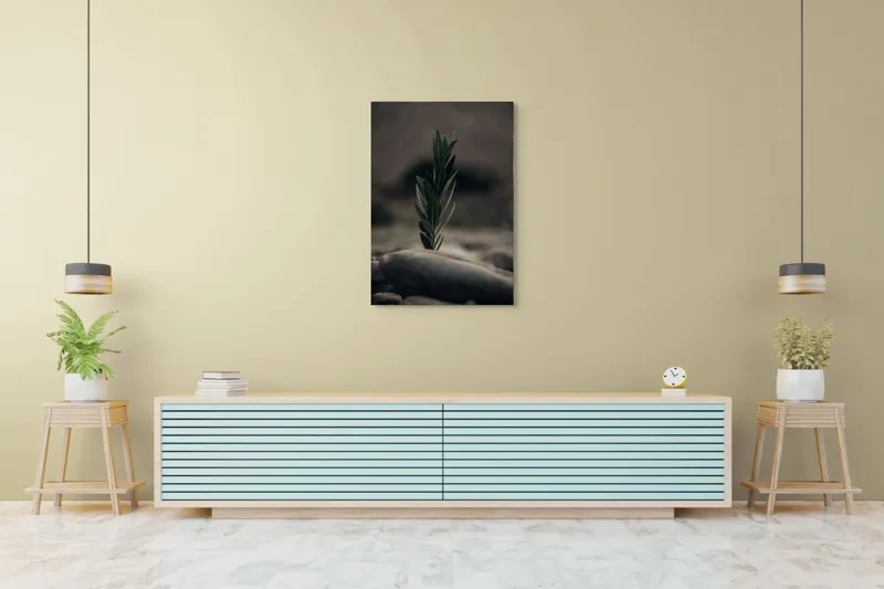 Tablou Canvas, "Tăria vieții într-un loc sterp", Frunza, Piatra, Tandrețe, Natură, Echilibru, Verde, Solitudine, Creștere, 70 x 100 cm – poza 5