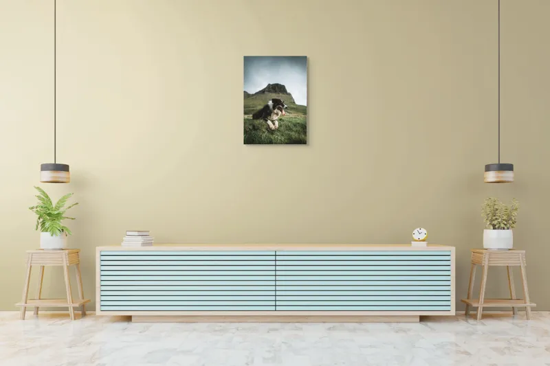 Tablou Canvas, "Câine odihnindu-se în munți verzi", Câine, Peisaj, Munte, Iarbă, Cer Înnorat, Relaxare, Natură, Blană, Limbă, Privind, Stâncă., 50 x 70 cm – poza 6