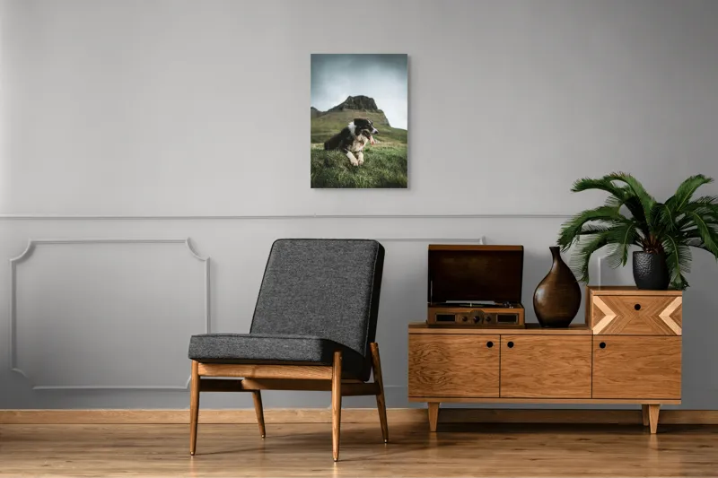 Tablou Canvas, "Câine odihnindu-se în munți verzi", Câine, Peisaj, Munte, Iarbă, Cer Înnorat, Relaxare, Natură, Blană, Limbă, Privind, Stâncă., 50 x 70 cm – poza 8