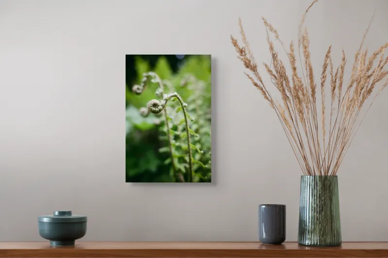 Tablou Canvas, "Frunziș spiral ascendent în pădure", Natură, Frunză, Verde, Spiralat, Detalii, Textură, Frunziș, Prospețime, 26 x 39 cm – poza 5