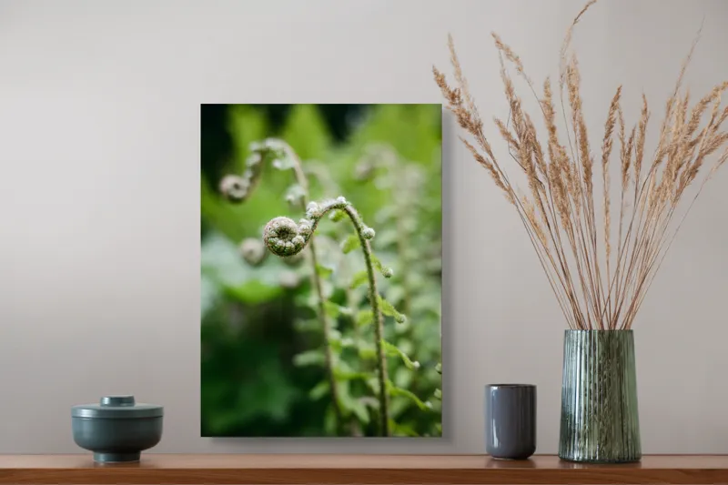 Tablou Canvas, "Frunziș spiral ascendent în pădure", Natură, Frunză, Verde, Spiralat, Detalii, Textură, Frunziș, Prospețime, 39 x 54 cm – poza 3