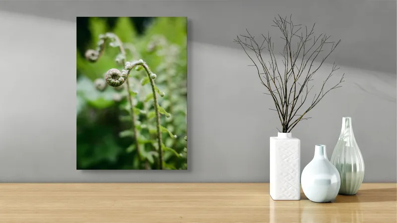 Tablou Canvas, "Frunziș spiral ascendent în pădure", Natură, Frunză, Verde, Spiralat, Detalii, Textură, Frunziș, Prospețime, 39 x 54 cm – poza 4