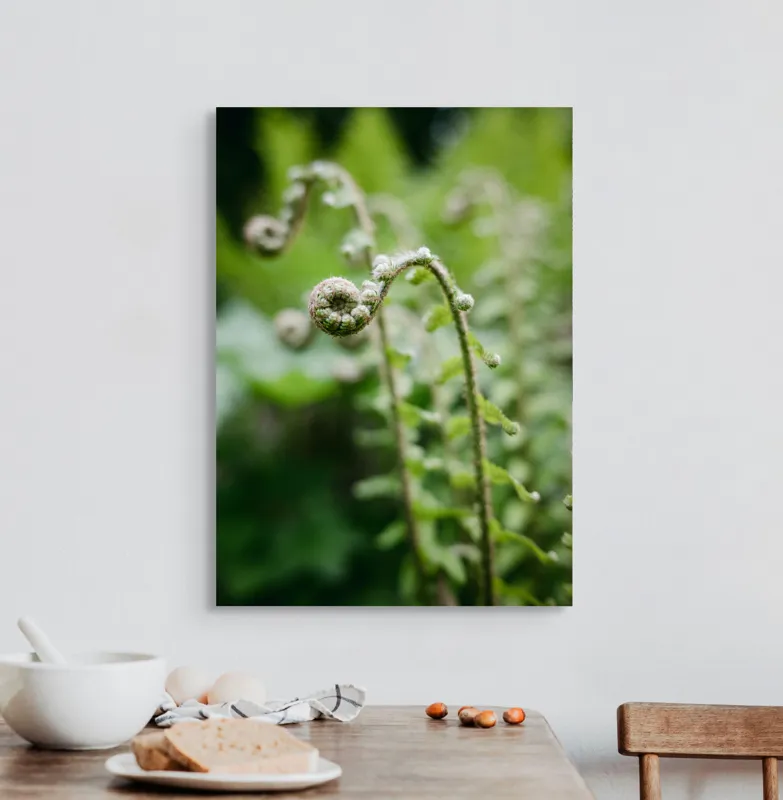 Tablou Canvas, "Frunziș spiral ascendent în pădure", Natură, Frunză, Verde, Spiralat, Detalii, Textură, Frunziș, Prospețime, 50 x 70 cm – poza 3