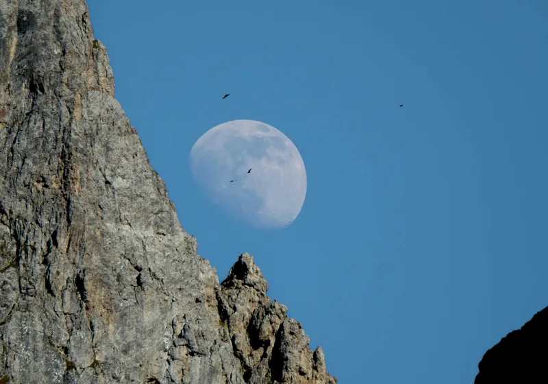 Tablou Canvas, "Luna printre vârfurile muntelui stâncos", Rocă, Lună, Păsări, Cer, Albastru, 100 x 70 cm – poza 2
