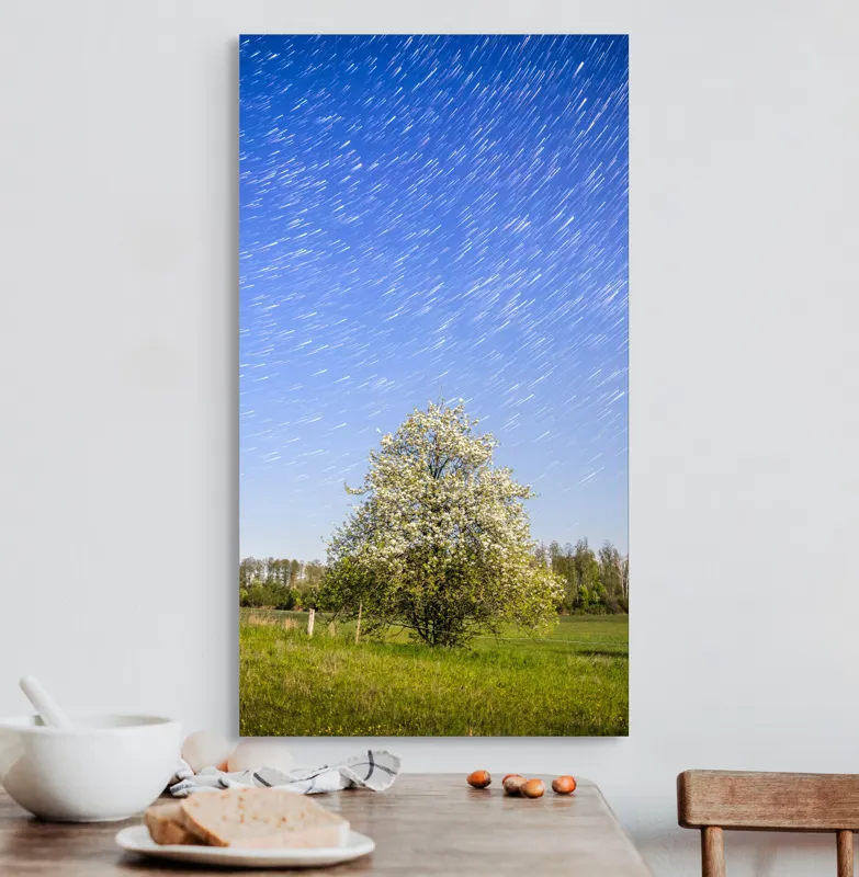 Tablou Canvas, "Furtuna de stele deasupra copacului alb", Cer, Stele, Copac, Câmp, Flori, Noapte, Natură, Lumină, Frumusețe, Peisaj, 50 x 90 cm – poza 3