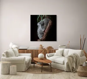 Tablou Canvas, "Koala adormit în cocon de copac", 100 x 100 cm – poza 3