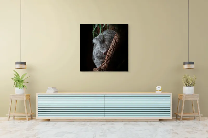 Tablou Canvas, "Koala adormit în cocon de copac", 100 x 100 cm – poza 5
