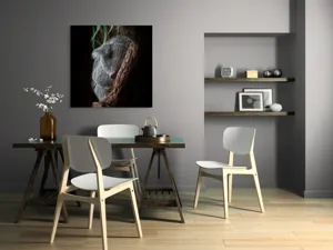 Tablou Canvas, "Koala adormit în cocon de copac", 100 x 100 cm – poza 6