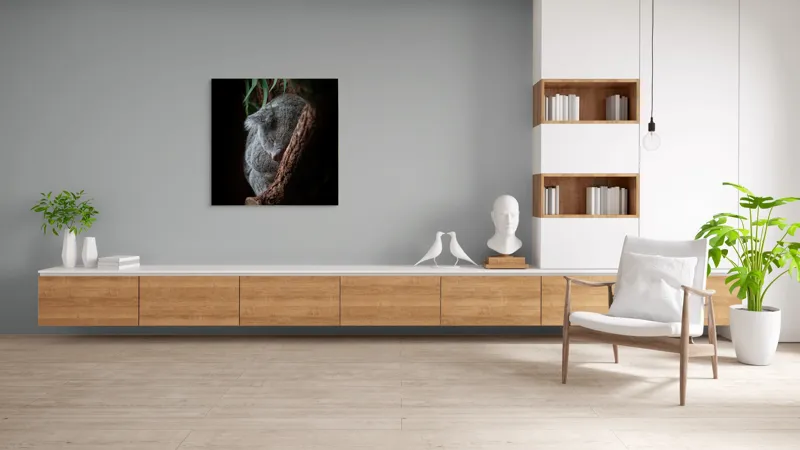 Tablou Canvas, "Koala adormit în cocon de copac", 100 x 100 cm – poza 8