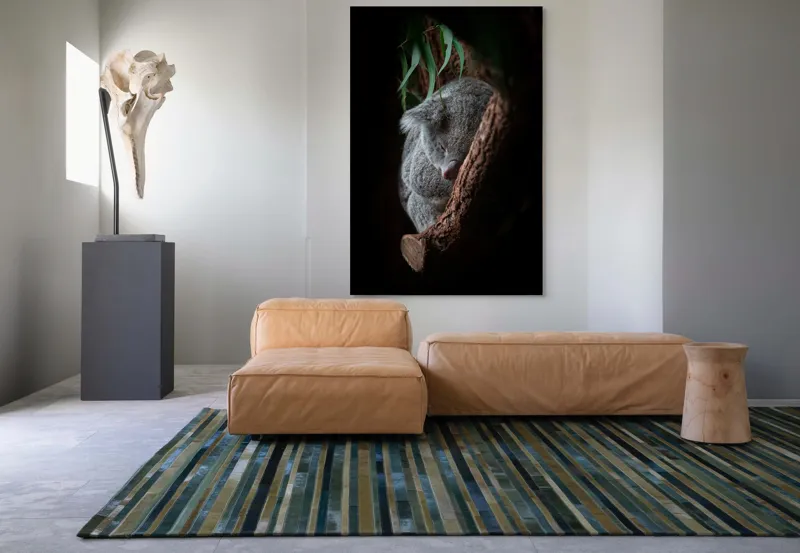 Tablou Canvas, "Koala adormit în cocon de copac", 100 x 150 cm – poza 7