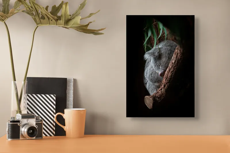 Tablou Canvas, "Koala adormit în cocon de copac", Nu pot identifica animalele reale din imagini, dar pot spune că fotografia arată un animal pufos, aparent adormit, într-un mediu natural, având o atmosferă liniștită., 26 x 39 cm – poza 3