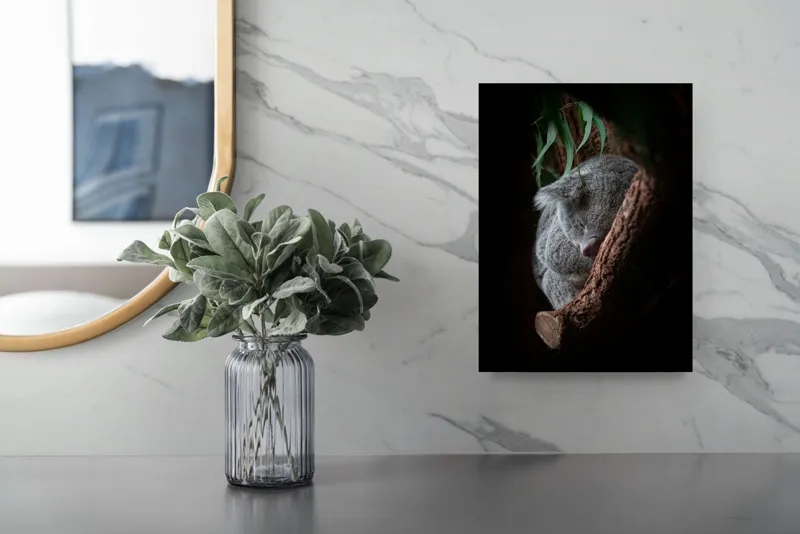 Tablou Canvas, "Koala adormit în cocon de copac", Nu pot identifica animalele reale din imagini, dar pot spune că fotografia arată un animal pufos, aparent adormit, într-un mediu natural, având o atmosferă liniștită., 26 x 39 cm – poza 4