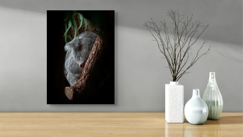 Tablou Canvas, "Koala adormit în cocon de copac", 39 x 54 cm – poza 4