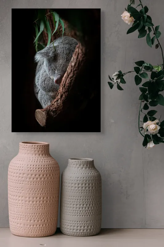 Tablou Canvas, "Koala adormit în cocon de copac", 39 x 54 cm – poza 6