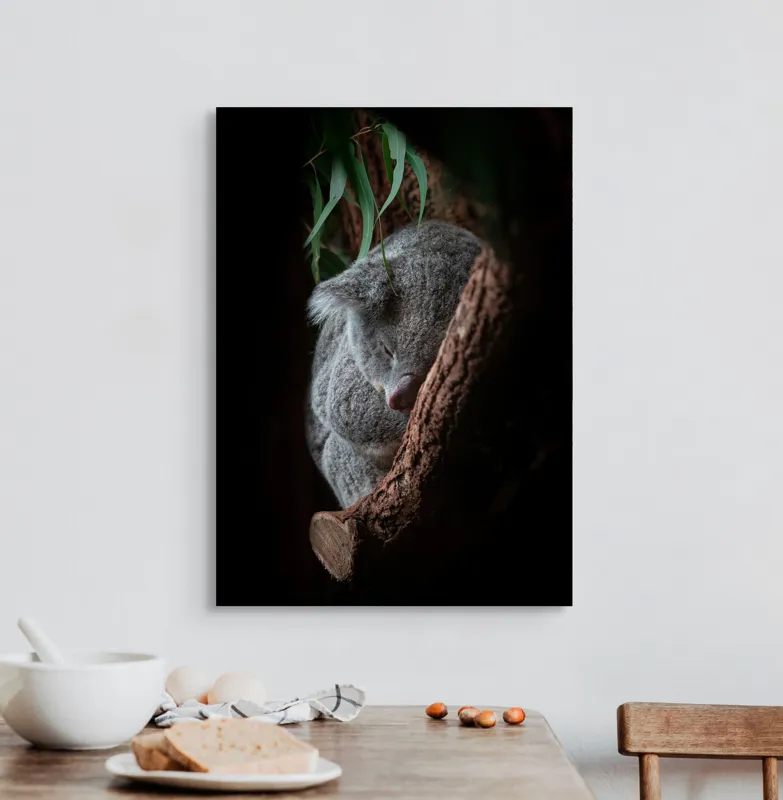 Tablou Canvas, "Koala adormit în cocon de copac", 50 x 70 cm – poza 3
