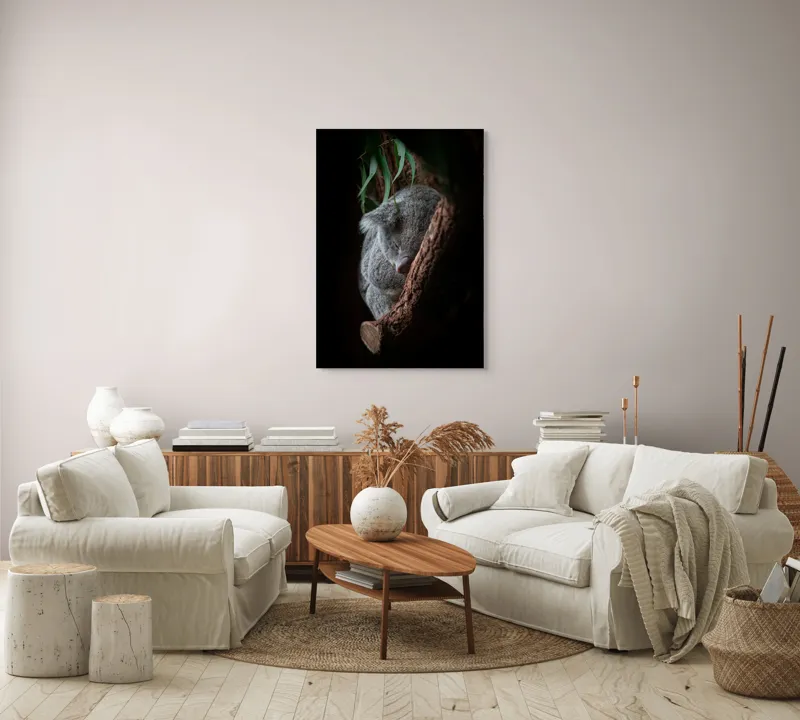Tablou Canvas, "Koala adormit în cocon de copac", 70 x 100 cm – poza 4