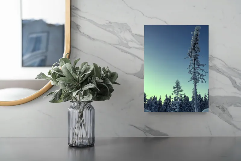 Tablou Canvas, "Tăcerea iernii în pădurea scandinavă", Frig, Zăpadă, Brazi, Iarnă, Cer, Liniște, Îngheț, Amurg, Natură, 26 x 39 cm – poza 4
