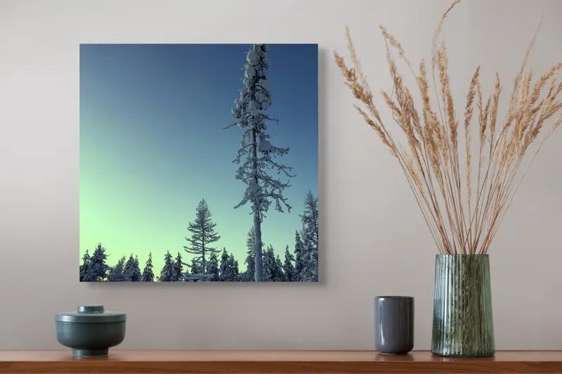 Tablou Canvas, "Tăcerea iernii în pădurea scandinavă", Frig, Zăpadă, Brazi, Iarnă, Cer, Liniște, Îngheț, Amurg, Natură, 50 x 50 cm – poza 4