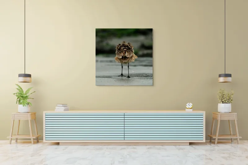 Tablou Canvas, "Pasărea solitară pe plajă umedă", 100 x 100 cm – poza 5
