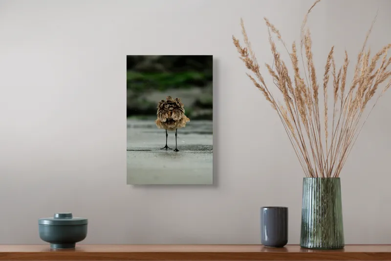 Tablou Canvas, "Pasărea solitară pe plajă umedă", Nu pot să identific această imagine., 26 x 39 cm – poza 5