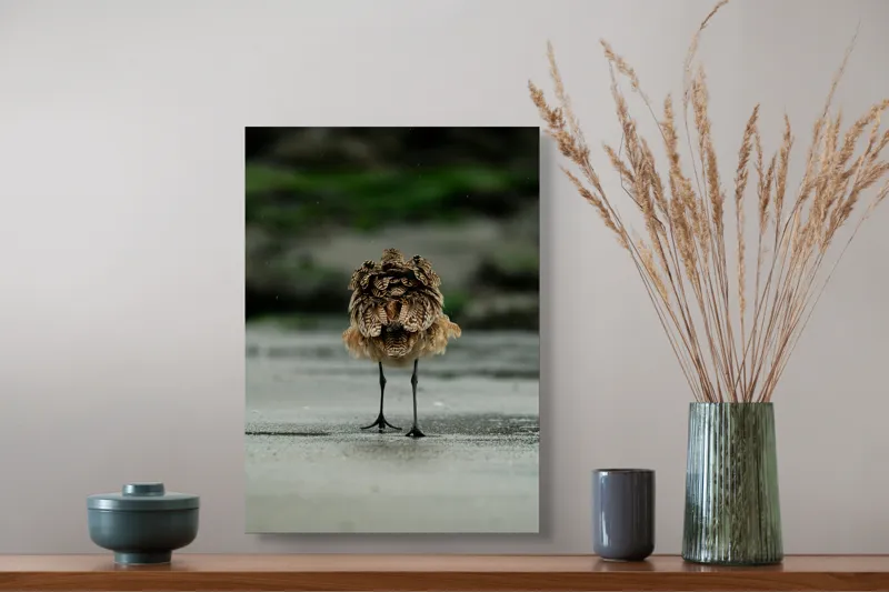 Tablou Canvas, "Pasărea solitară pe plajă umedă", Nu pot să identific această imagine., 39 x 54 cm – poza 3