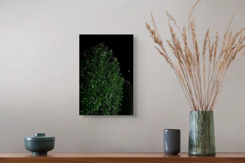 Tablou Canvas, "Arta nopții în verde profund", Frunze, Verde, Cer, Noapte, Umbre, Lumină, Mister, Natură, Contrast, Serenitate, 26 x 39 cm – poza 5