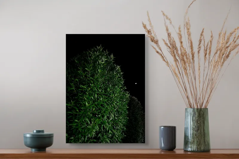 Tablou Canvas, "Arta nopții în verde profund", Frunze, Verde, Cer, Noapte, Umbre, Lumină, Mister, Natură, Contrast, Serenitate, 39 x 54 cm – poza 3