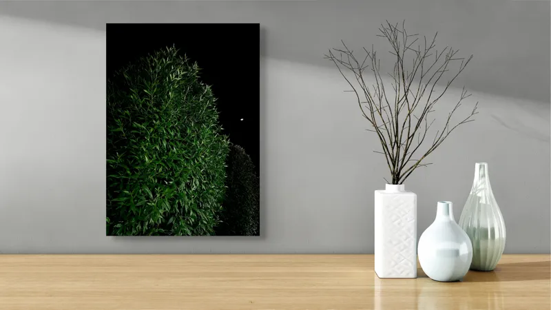 Tablou Canvas, "Arta nopții în verde profund", Frunze, Verde, Cer, Noapte, Umbre, Lumină, Mister, Natură, Contrast, Serenitate, 39 x 54 cm – poza 4